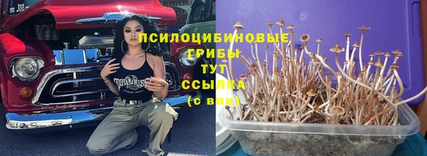 МДПВ Балахна